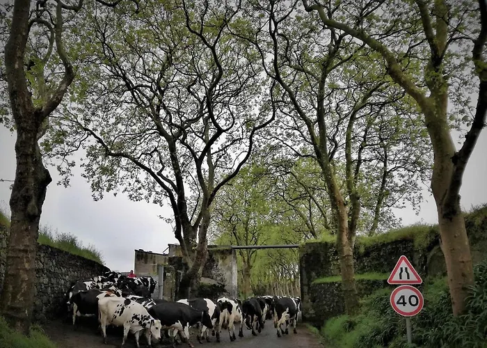 Ferienhaus Casa De Ferias Com Vistas Deslumbrantes